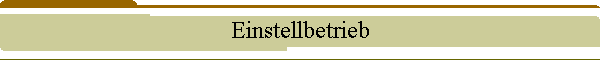 Einstellbetrieb